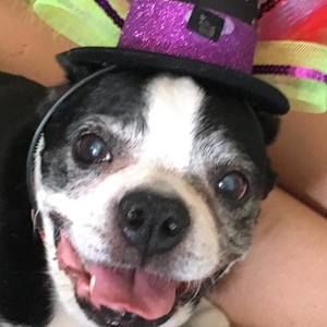 Meet your Posher, Rae